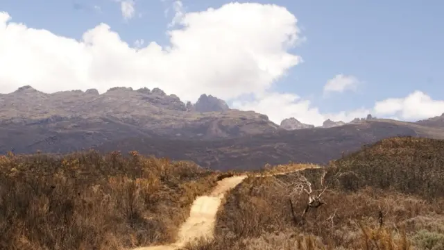 Moto uliowaka katika maeneo tofauti ya msitu wa mlima Kenya