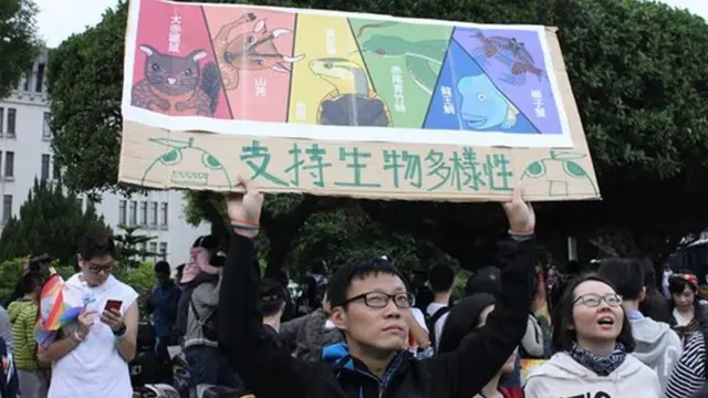 游行的人举起各式各样的自製告示牌,图中为一人高举"支持生物多样性"(BBC Chinese)。
