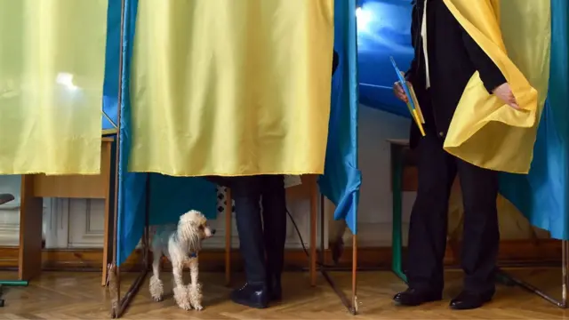 Собака на дільниці