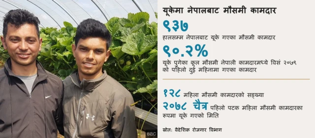 तथ्याङ्कमा यूके गएका कामदार