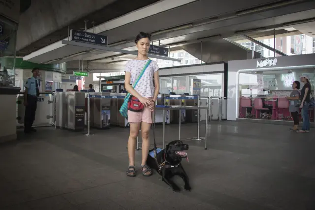 ลูเต้อร์ได้รับการฝึกฝนมาอย่างดี จะไม่ขับถ่ายในอาคาร