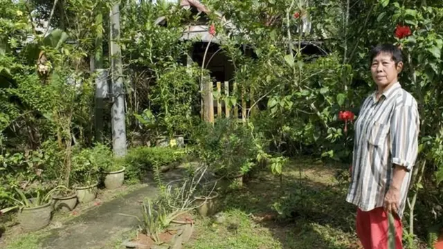 موئی ہونگ