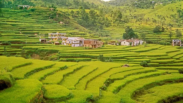 இந்தியாவின் 132 கிராமங்களில் பெண் குழந்தைகளே பிறப்பதில்லையா?