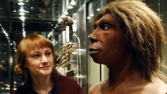 Selon le dossier génétique, les Néandertaliens mâles et femelles semblent s'être croisés avec notre propre espèce.