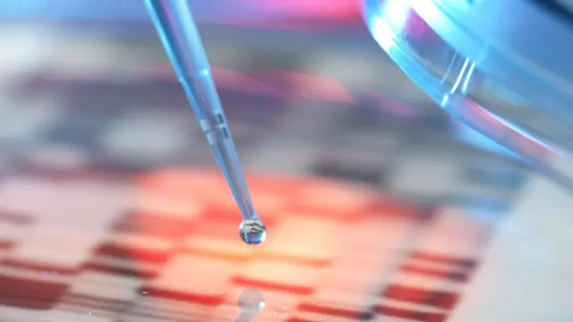 Imagen de un experimento científico