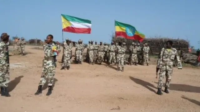 Liyuu Boolis wa ciidan uu abuuray madaxweynihii hore Cabdi Maxamuud Cumar