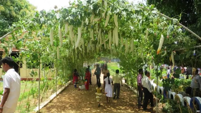 සාම්පූර්හි පැවති කෘෂිකර්ම ප්රදර්ශනය