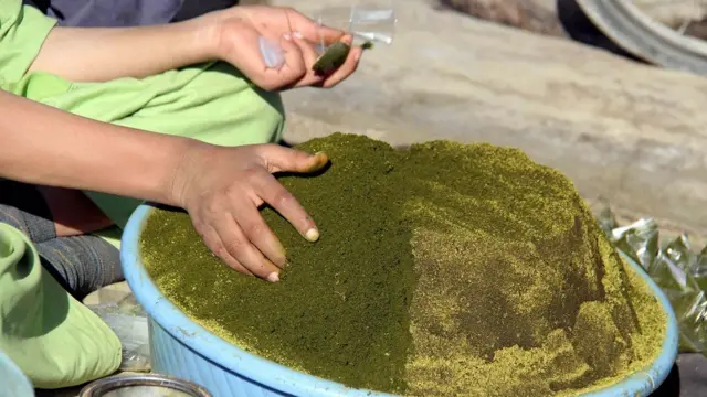 अफ़ग़ानिस्तान