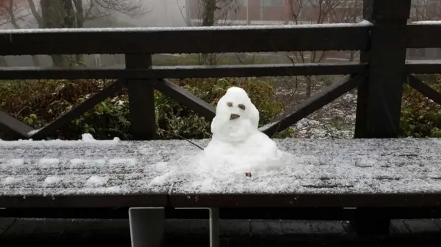 台湾雪霸国家公园观雾游憩区飘雪。