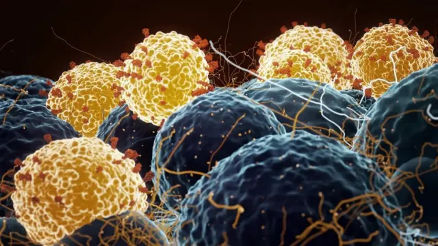 La plupart des vaccins Covid-19 qui ont été développés ciblent la "protéine de pointe" à la surface du virus.