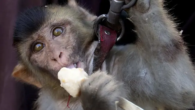 کراچی، بندر