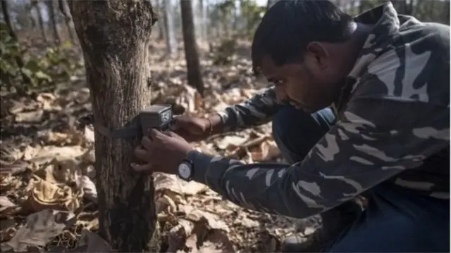కెమేరాలు అమరుస్తున్న సిబ్బంది