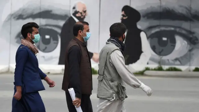 شبکې
