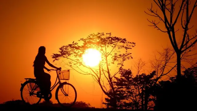 கருக்கலைப்பு abortion