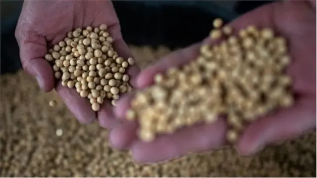 గాలి నుంచి ప్రొటీన్