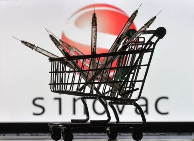 Vaksin Sinovac yang digunakan tenaga medis di Indonesia.