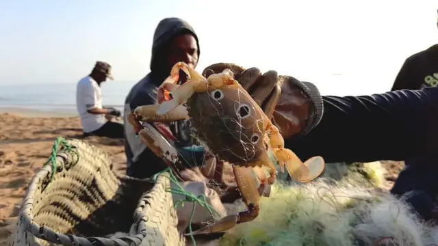 گوادر، ٹرالر، ماہی گیر