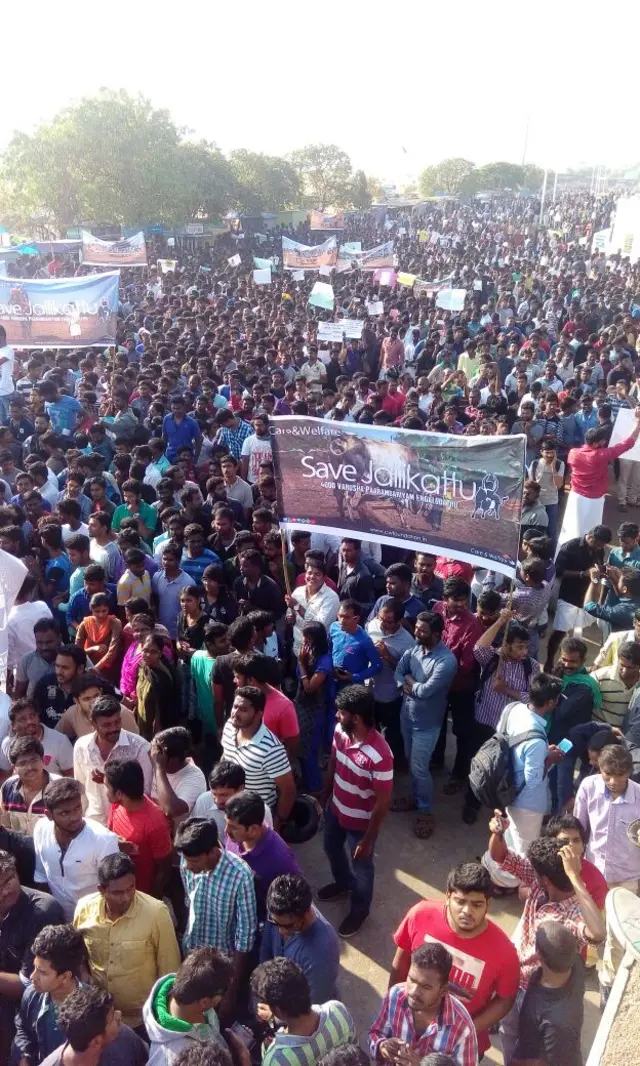 ஜல்லிக்கட்டிற்காக சென்னையில் திரண்ட இளைஞர்கள் கூட்டம் (புகைப்படத் தொகுப்பு)