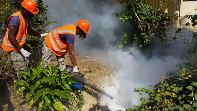 मच्छरों की रोकथाम के लिए फॉगिंग