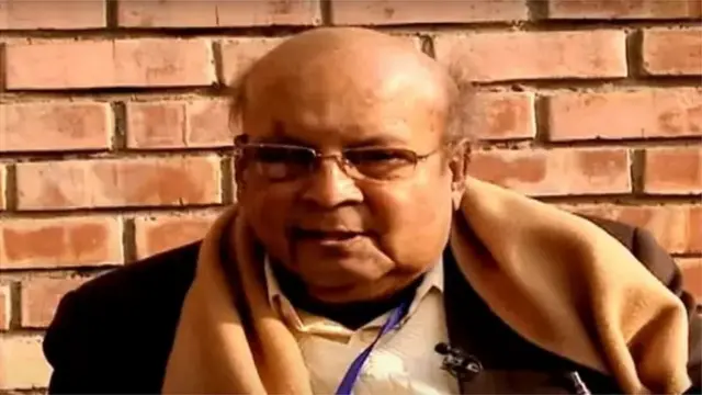 डी. एन. झा