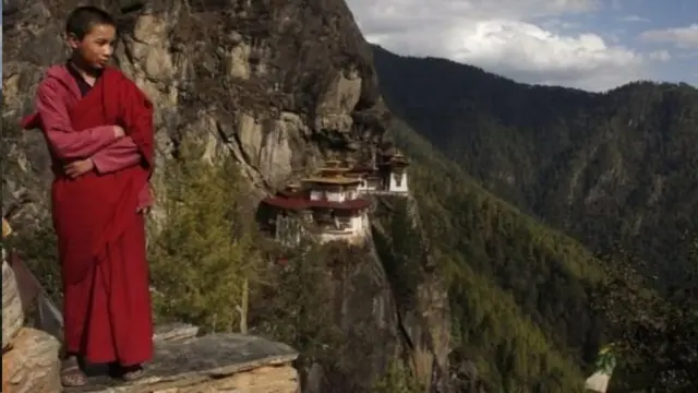 પહાડી વિસ્તારમાં લામાની તસવીર