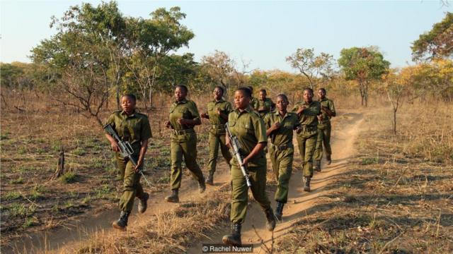 阿卡辛加巡逻队在野外训练；她们时常一边跑步一边唱歌。