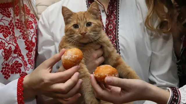 вечорниці