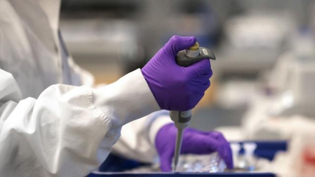 Mãosmega sena internetpesquisadora