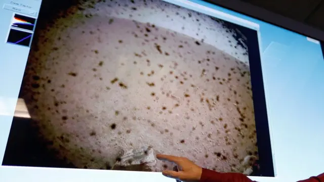 मंगल ग्रह की पहली तस्वीर जो इनसाइट ने भेजी