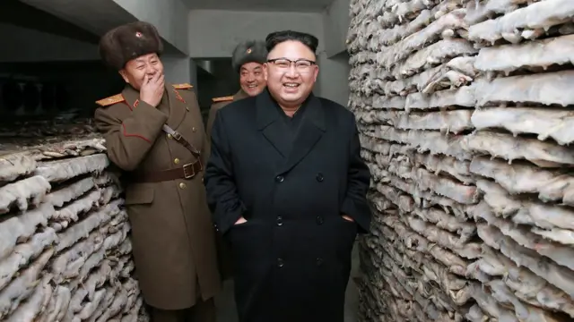 Кто осмелился залезть на Ким Чен Ына? - BBC News Русская служба