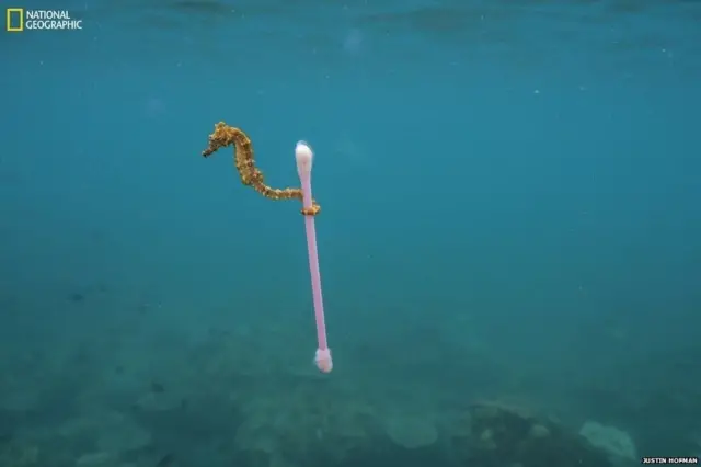 புகைப்படம்