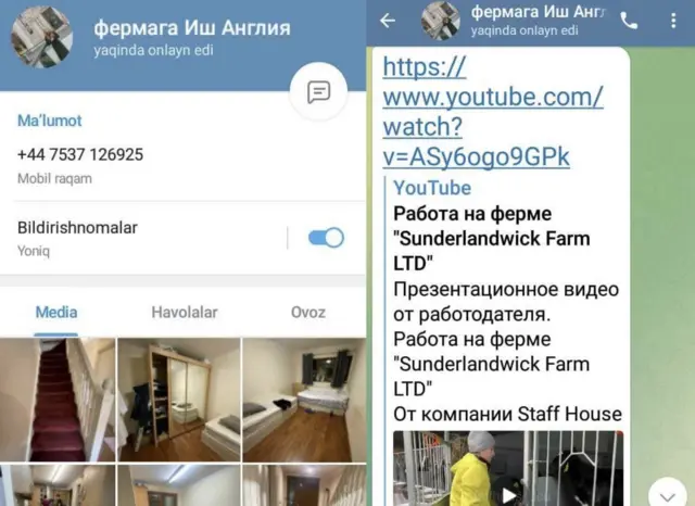 Ўзбекистонда тарқалган мана бу эълондаги ферма бу таклифлардан мутлақо бехабарлигини айтди.