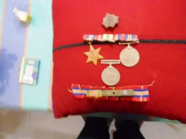 සේවාමුක්ත භටයින්ගේ නිවෙස්වල ඇති සිහිවටන