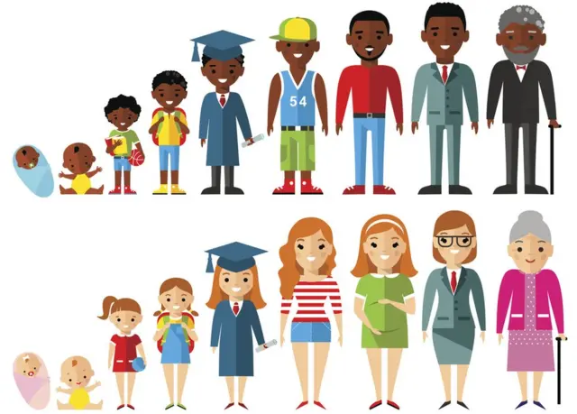 dibujos del proceso vital