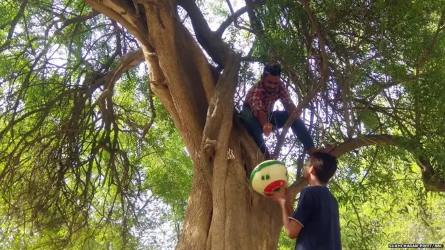 ਪੰਛੀਆਂ ਦੇ ਮੁੜ ਵਸੇਬੇ ਲਈ ਕੰਮ ਕਰਦੇ ਪੰਜਾਬੀ ਨੌਜਵਾਨ