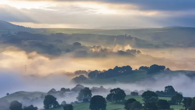 காற்றிலிருந்து கரியமில வாயும் நீக்கம்: நம் உணவு தட்டில் எப்படி தாக்கம் செலுத்தும் தெரியுமா?