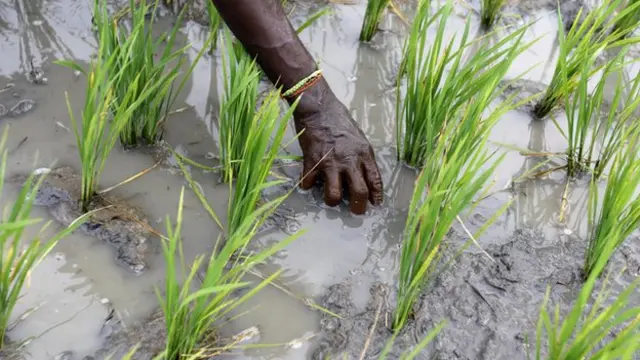 காவிரி நீரில் தமிழகத்திற்கு 14.75 டிஎம்சி குறைப்பு: உச்ச நீதிமன்றம் உத்தரவு