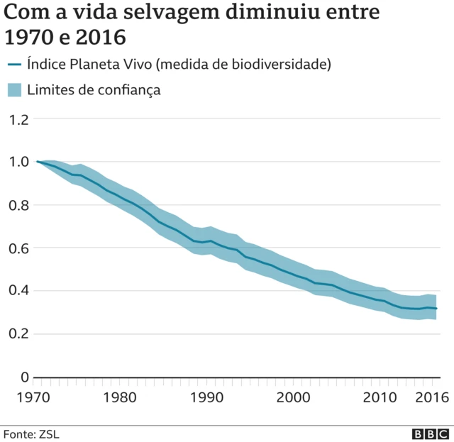 Gráfico