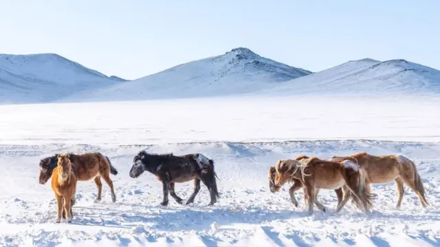 (Credit: Yulia Denisyuk)