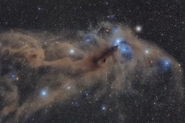 '남쪽 왕관자리의 먼지 덩어리(Corona Australis Dust Complex)'