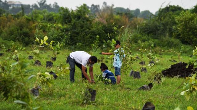 印度新德里一位男子幫助兒童植樹（資料圖片）