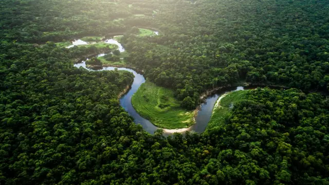 Riorobô sportingbetmeio a floresta amazônia vistorobô sportingbetcima