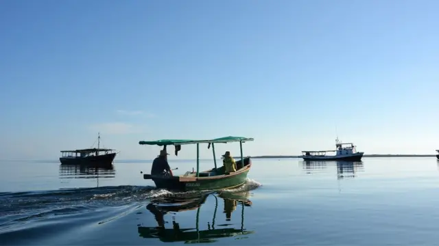Reflejo
