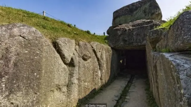 दुनिया के सारे पेड़ ख़त्म हो जाएंगे तो क्या होगा?