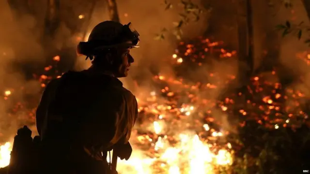 जंगल में आग