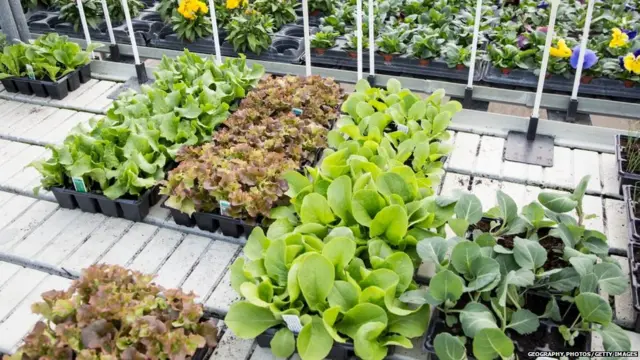 प्रातिनिधिक फोटो