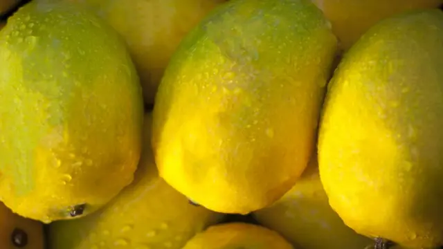 કેસર કેરીની તસવીર