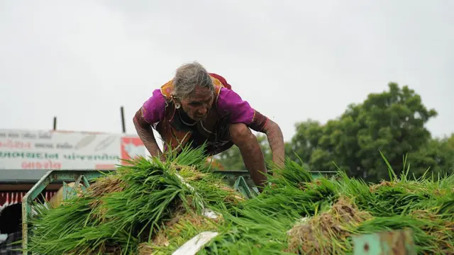 ખેડૂત બહેન