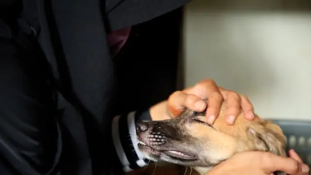 Dari empat anjing yang tetap dibolehkan tinggal di rumah Hesti, salah satunya cacat.