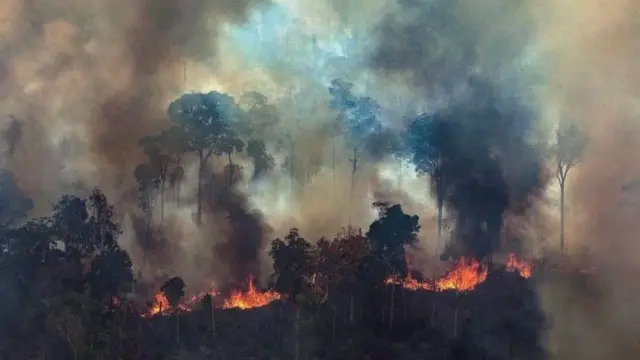 Incêndio na Amazôniacomo ganhar 300 de bônus na betanofotocomo ganhar 300 de bônus na betano2019